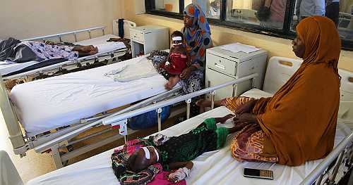 Global hunger worsened in 2024, affecting 295 mln people: UN report  | Africanews