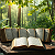 Article: Verses in the Verdure: The Quran Amidst Eternal Green