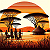 Post: Africa Tribe