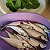 Post: Cooking for today fish and petchay